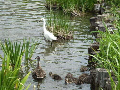 小池公園にて