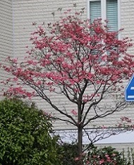 IMG_0054-17.jpg