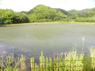 DSCN9731.jpg