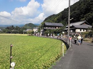 sakaki_5