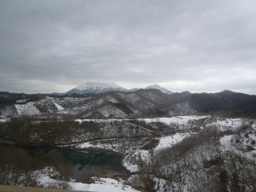 P1140843(1).JPG