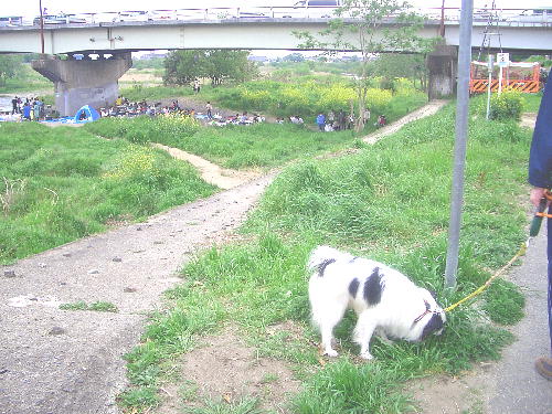CIMG4066_edited.JPG