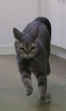 5DA_4348-15.jpg