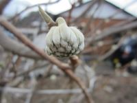 IMG_4957_R.JPG