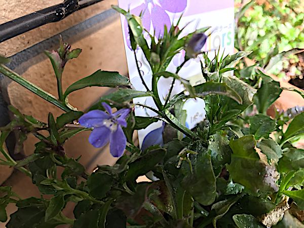 rblog-20190401164244-04.jpg