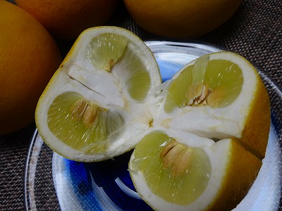 s-DSC00727.jpg