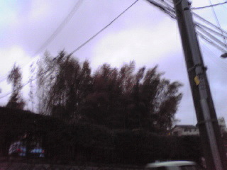 暴風雨2012年４月