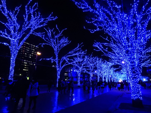 青の洞窟 SHIBUYA