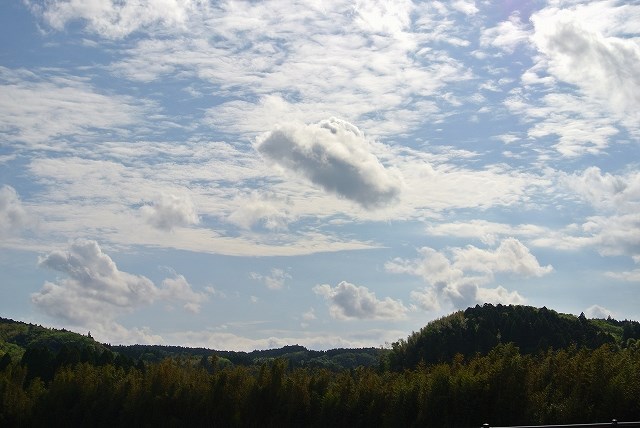 511.jpg