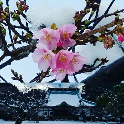 rblog-20180123091657-08.jpg
