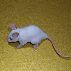 画像はイメージです