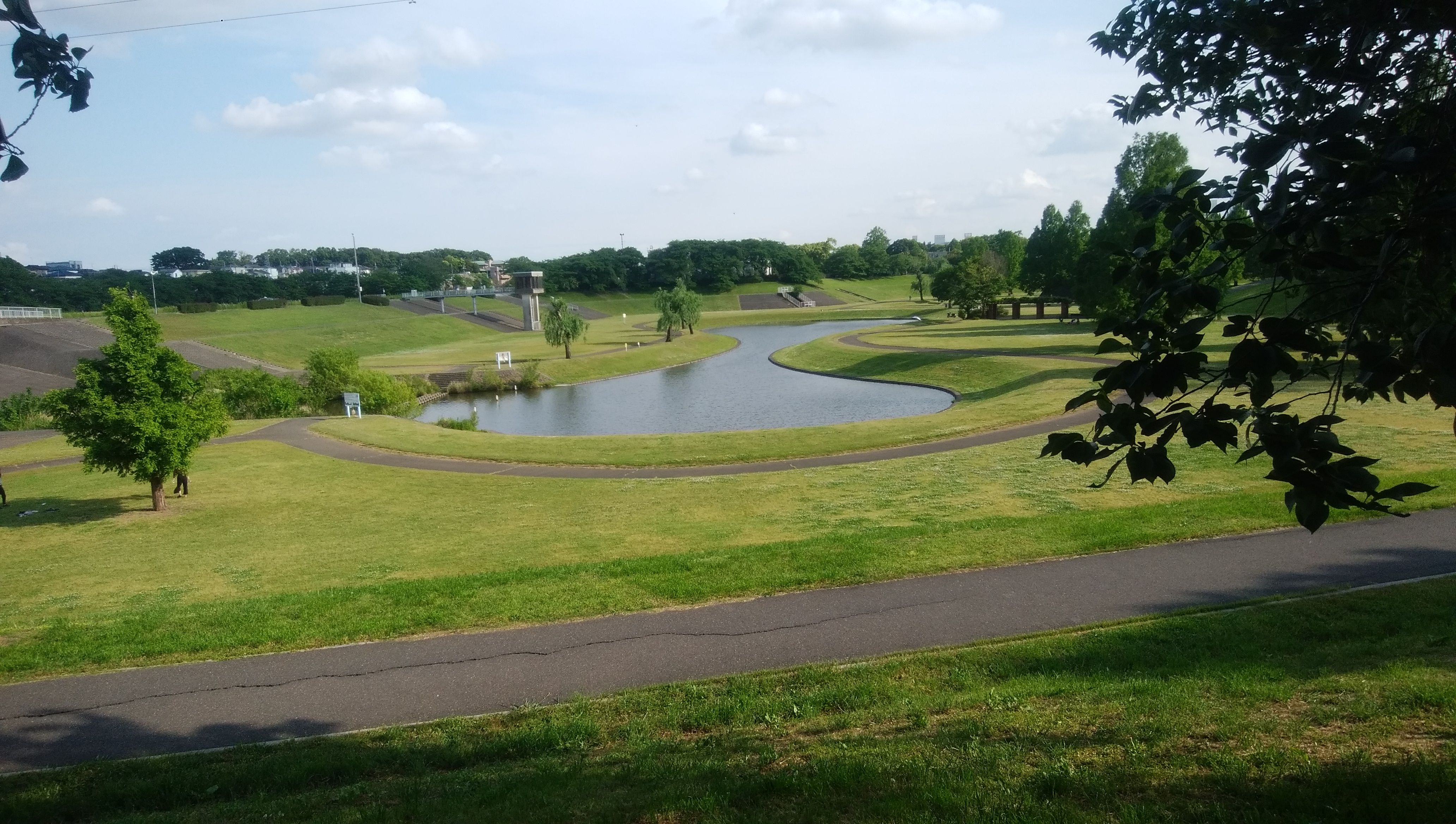 愛犬と歩く６月の大宮第二公園 心豊かに過ごす 楽天ブログ