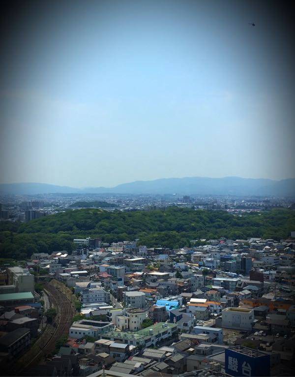 rblog-20170608220051-02.jpg