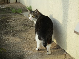 IMG_4430ss.jpg