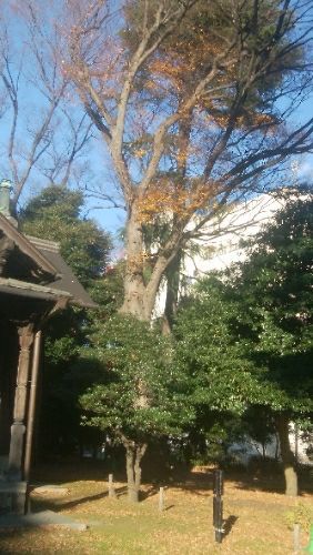 rblog-20171218220323-00.jpg