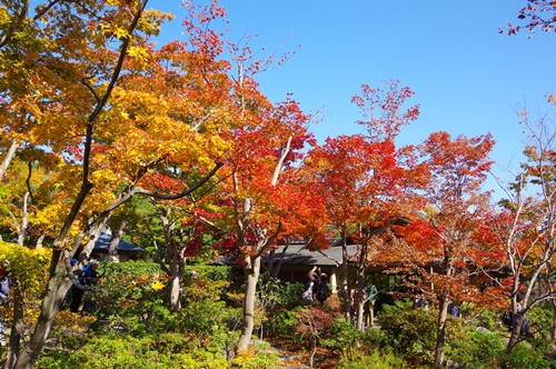 日本庭園にて