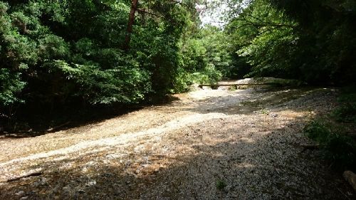 rblog-20180722210148-02.jpg