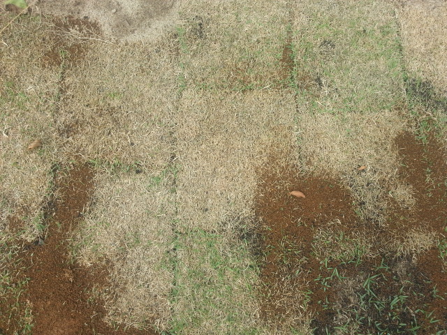 20140614_140656.jpg
