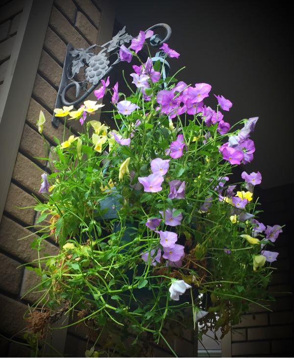 rblog-20160530192915-04.jpg