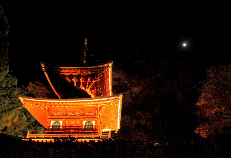 勝尾寺_8-5・多宝塔と宵月.jpg