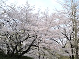 IMG_2362.JPG