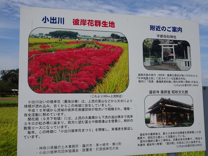 DSC00631_R.JPG