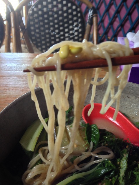 HABIKINOほんてんラーメン・