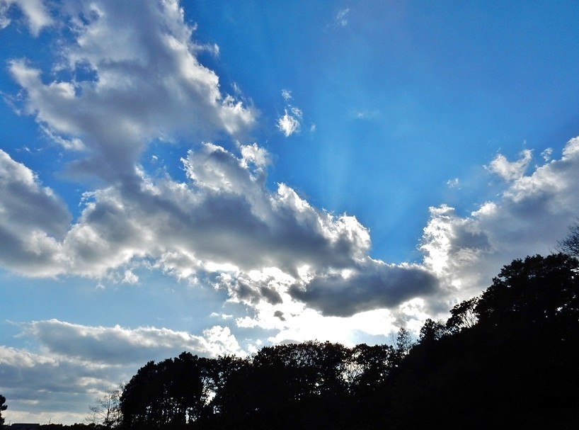 空4.JPG