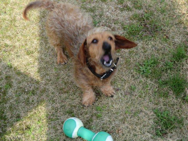 2012_0320_162231-CIMG0426.jpg