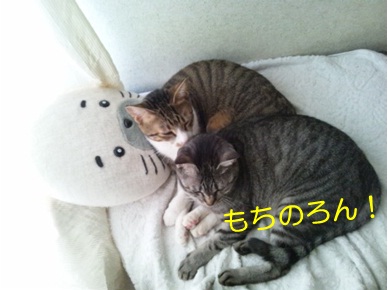 20121007_4.jpg