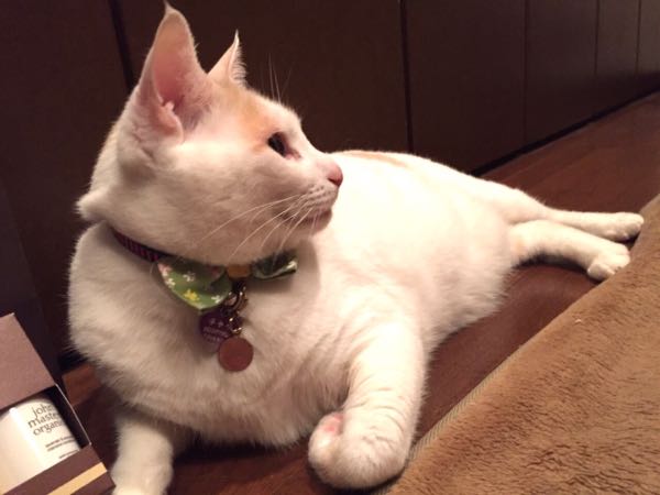 rblog-20160509212656-06.jpg