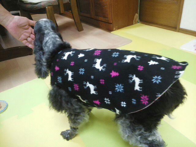 rblog-20141031165438-01.jpg