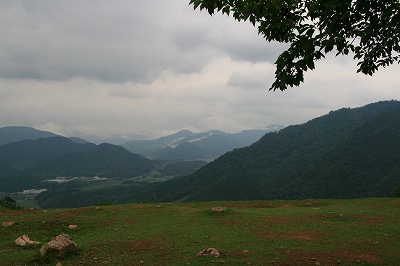 IMG_6726.jpg