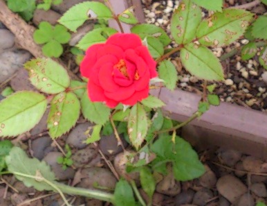 DSC_0205.jpg