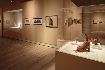 展示の様子