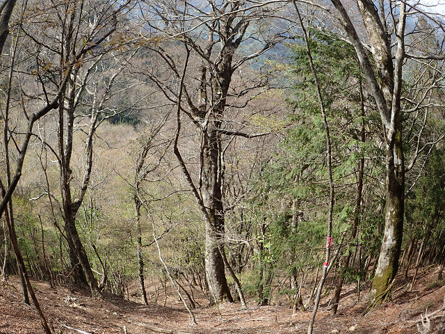 resize0096.jpg