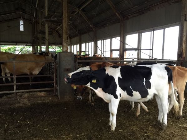 rblog-20150721071432-04.jpg