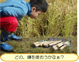 inekari2.jpg