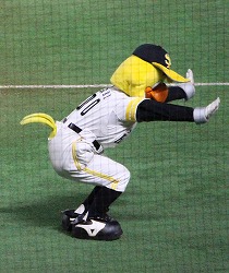 IMG_3428.jpg