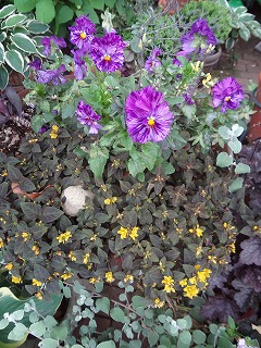 DSC05373.jpg