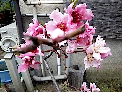 120407_131917.jpg