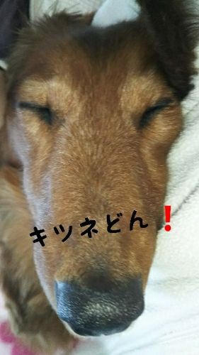 rblog-20180313132209-00.jpg