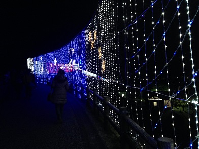 miyagase illumination10