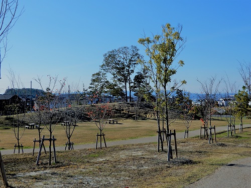 15城山台団地の公園 (2).JPG