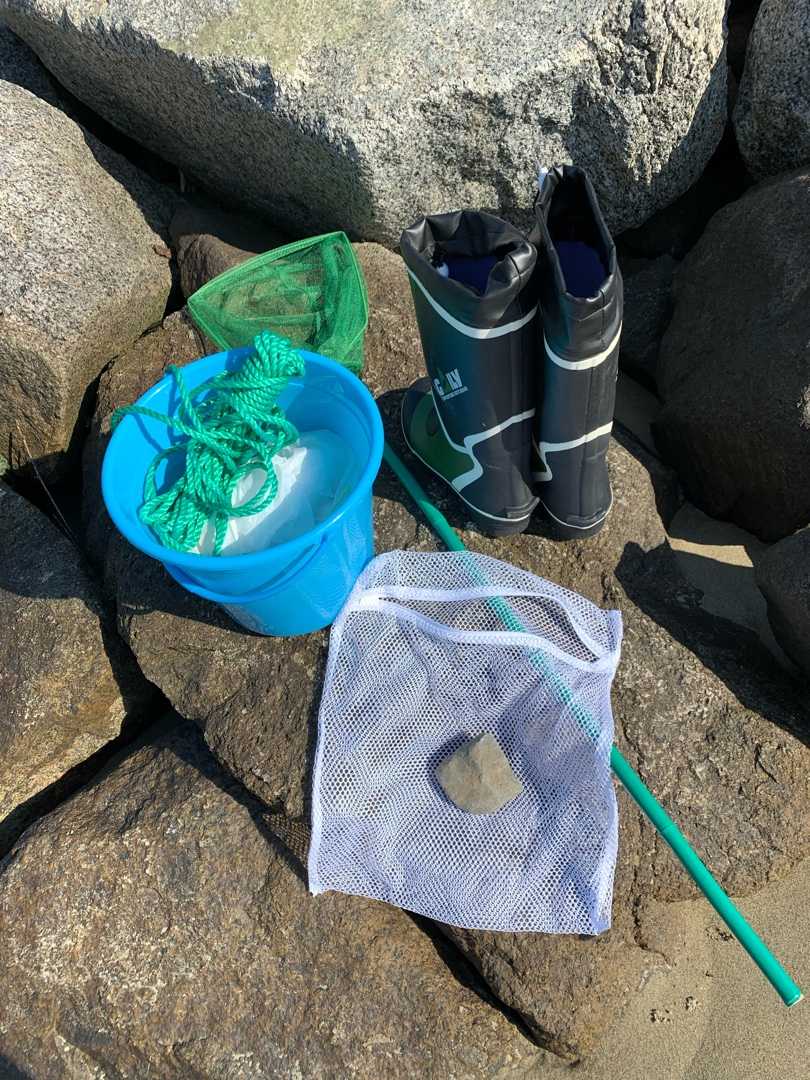 カニを採って釣りの餌にする ねこまんまねこの日記 楽天ブログ
