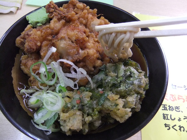 一由そば＠日暮里の冷やしかけ・小盛り＋JG＋春菊天・半分