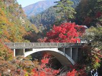 IMG_3789_R.JPG