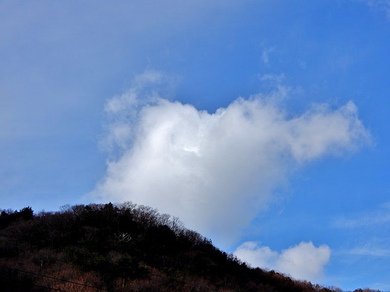 空5