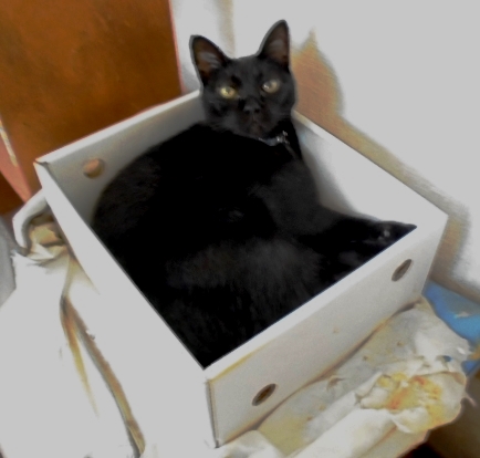 DSC00763 - コピー.JPG