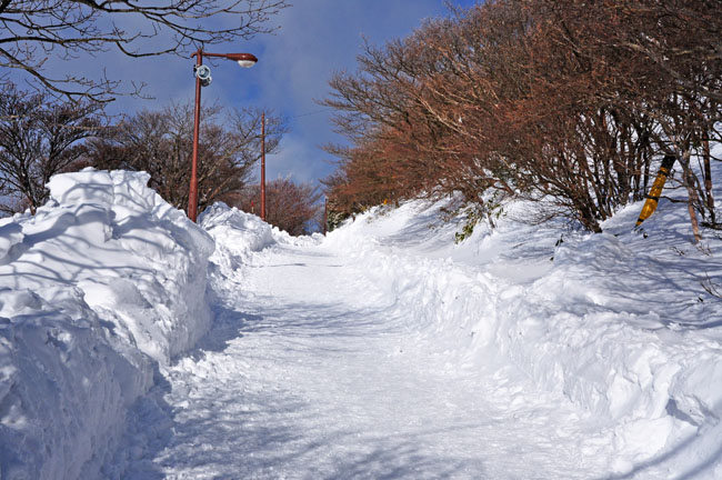 雪２